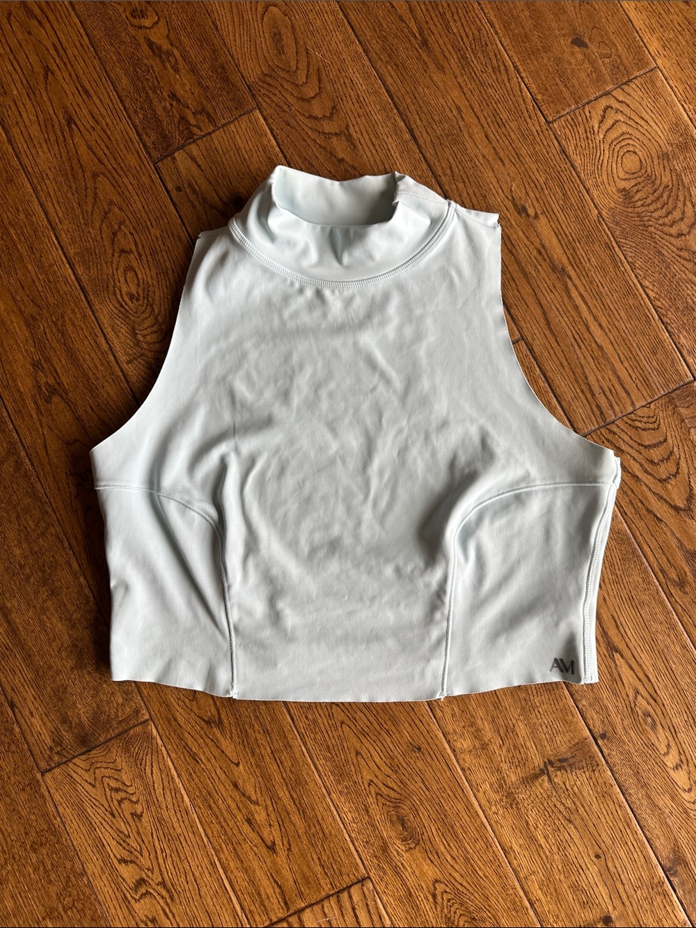 Performance Sleeveless Mock Neck Crop Top in Light ice blue. Xlarge adore me